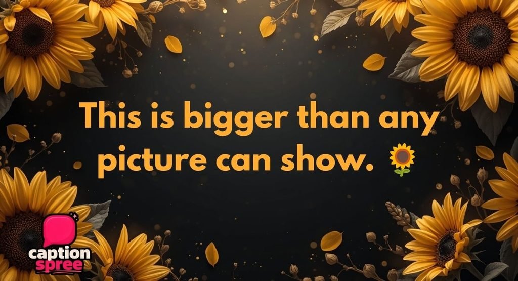 Sunflower Field Photo Captions