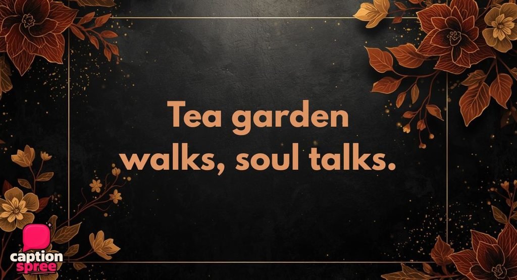Brahmaputra, Majuli, Tea Garden and Nature Captions