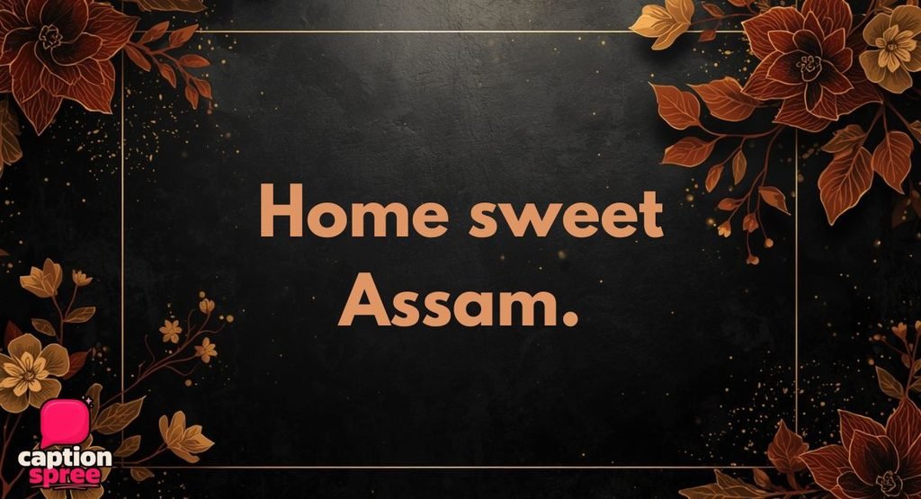 Short Assamese Captions
